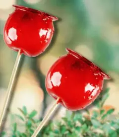 ♡♡専用出品♡♡