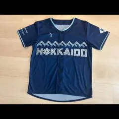 完売品　WE LOVE HOKKAIDO 2025 ユニフォーム　郡司裕也　XL WE LOVE HOKKAIDO & FIGHTERS 2025レプリカユニフォーム」一般