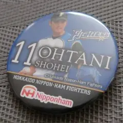 入手困難！ 大谷翔平 超デ缶バッジ 2013-2017 日本ハムファイターズ 北海道日本ハムファイターズ 2013-2017 大谷翔平選手 BIGキーホルダー