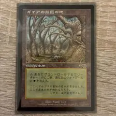 2025年最新】ガイア揺籃の地の人気アイテム - メルカリ