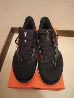 Nike Air Zoom Pegasus 41 ブラック