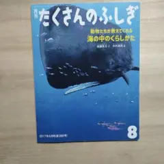 月刊 たくさんのふしぎ 動物たちが教えてくれる 海の中のくらしかた