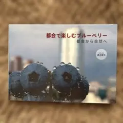 都会で楽しむブルーベリー : 都会から自然へ