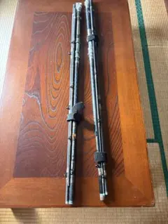 カーボウイスカー尖閣100号 ダイワ カーボウィスカー 尖閣 100号 484』他、『ダイコー フル