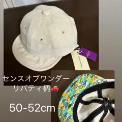 Item thumbnail for item d6d03d1d-9c6e-4a2a-bc2b-5c4136426c85