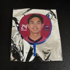 セレッソ大阪 ウォンコーン ミニうちわキーホルダー SOCIO 24