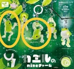 【新品未使用】2種セット カエル の mine チャーム