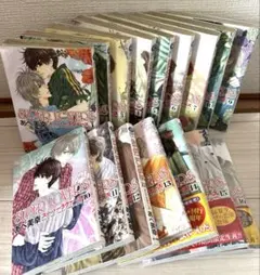 SUPER LOVERS あべ美幸 1巻〜17巻セット - メルカリ