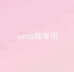 専用出品