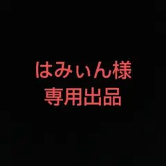 はみぃん様専用出品