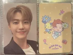 NCT サンリオ トレカ ジェミン