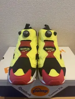 【美品】Reebok INSTAPUMP FURY OG