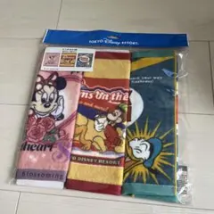 東京ディズニーリゾート タオル3枚セット
