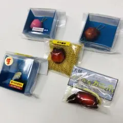 新品/5/種/セット/三陸海物語/フィギュア/SASAMO/ササキプラスチック