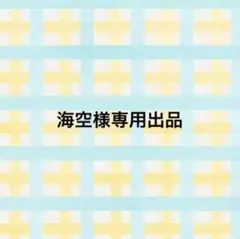 海空様専用出品