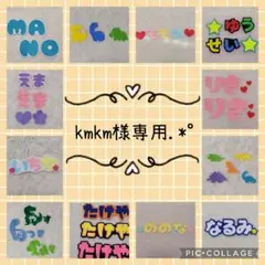kmkm様専用.*゜