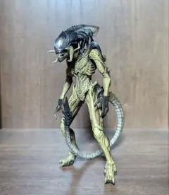 avp プレデリアン　hiyatoys　ハイヤトイズ　1/18　フィギュア
