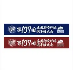 第107回全国高校野球選手権大会 タオル