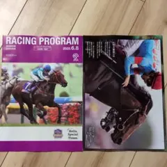 競馬 JRA 安田記念　日曜日版レーシングプログラム2冊　レープロ