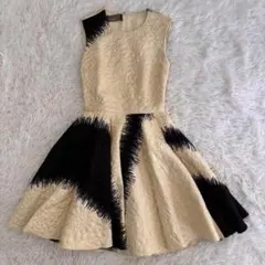 希少✨ジャンバティスタヴァリ 総刺繍 ひざ丈ワンピース イタリヤ ドレス ピンク 2025年最新】Giambattista Valli レディース ひざ丈ワンピースの