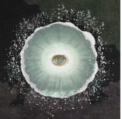 siip ガイア【完全生産限定盤】【UNIVERSAL MUSIC STORE