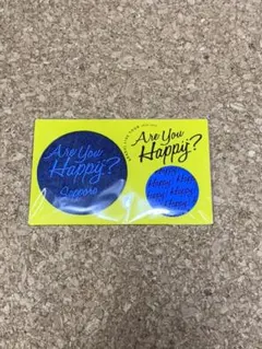 嵐 缶バッチ グッズ 札幌 AreYouHappy? 青
