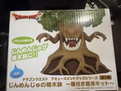 ドラゴンクエスト じんめんじゅの植木鉢 種付き栽培キット 未開封です