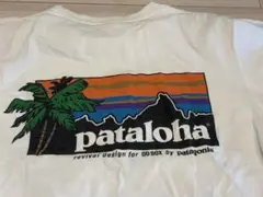 希少。patagonia ODBOX別注パタロハTシャツ Lサイズ - メルカリ