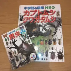 小学館の図鑑NEO カブトムシ・クワガタムシのサムネイル