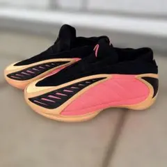 洗濯・日陰干しAdidas AE 1 Low アンソニーエドワーズ 25.0cmのサムネイル