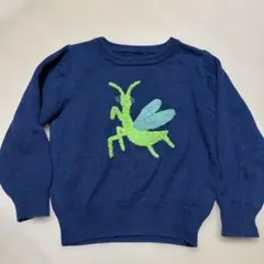インセクトコレクション　ネイビー ニットセーター 昆虫刺繍