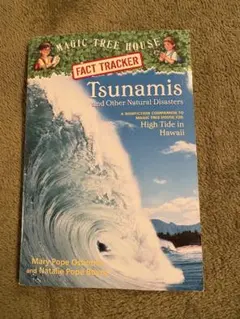 Tsunamis and Other Natural Disasters