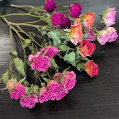 スプレーバラドライ4品種mix②♪ドライ花材✼ブーケ✼リース
