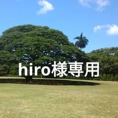 布ぞうり　hiro様専用