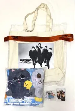 抜け無し◼️ RIIZE ライズ アプグレ プレミアム 特典 グッズ トレカ 銀テ