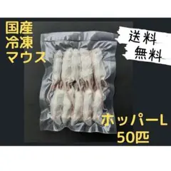 傷あり）冷凍マウスホッパー50匹 - メルカリ