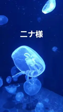 おすそ分け蛇腹ファイル　コラージュファイル　薄型　★きのこねこ★のサムネイル