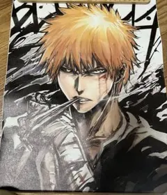 BLEACH 黒崎一護 キャンバスアート 30×40cm