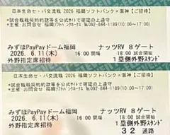 【通路側】6月11日ソフトバンクホークス×阪神タイガース外野指定席ペアチケットのサムネイル