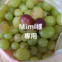 Mimi様専用