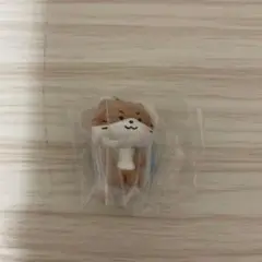 MINITEEN ミニティーン つまんでつなげてますこっと