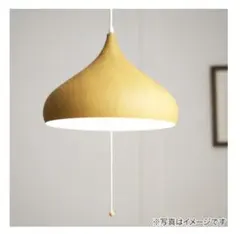 値下げ♡カールハンセン＆サン ペンダントライト 深緑 - メルカリ