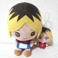 ハイキューぬいぐるみ