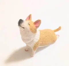 ANIMAL LIFE Baby Yoga Dog ヨガ 犬 べいびーよがどっぐ