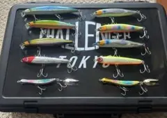 ぴっぴ様 リクエスト 2点 まとめ商品