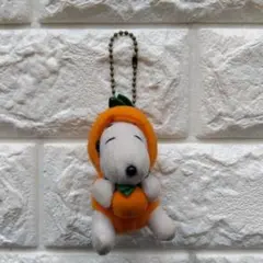 20年位前の物。スヌーピーキーホルダー