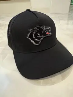 希少❗️ グレイソン　キャップ　GREYSON