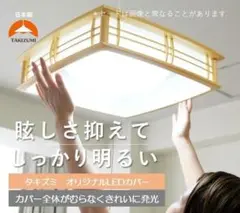 タキズミ(Takizumi)【省エネ 節電 日本製 】 RVR14642