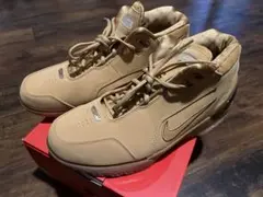 レブロンジェームズ Air Zoom Generation ASG QS 10 - メルカリ
