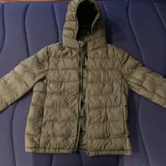 Item thumbnail for item 0a2f74ce-bd66-47b7-9bd3-82b7d0d9599b